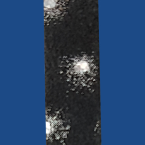 FGLSN10BK