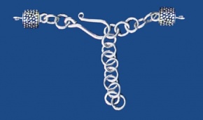 cl213